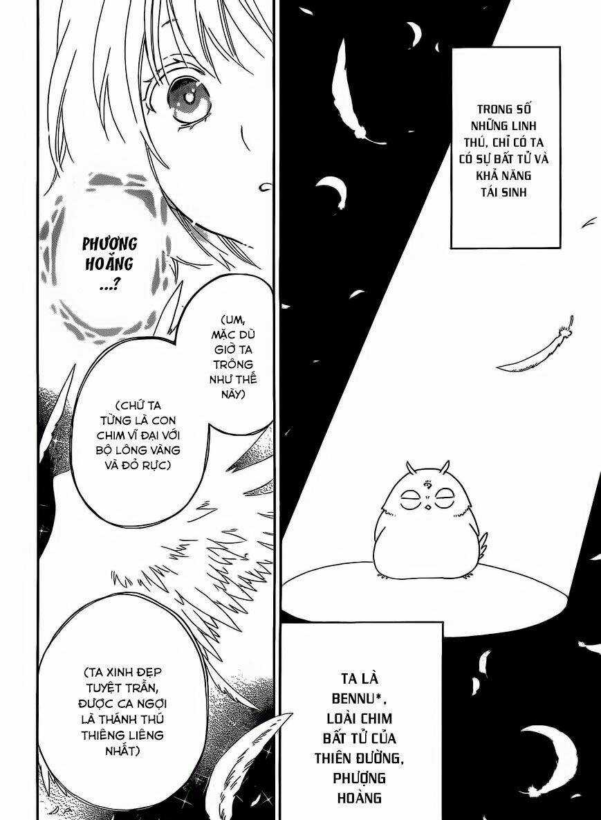 Vua Quái Vật Và Nàng Công Chúa Hiến Tế Chapter 10 trang 6