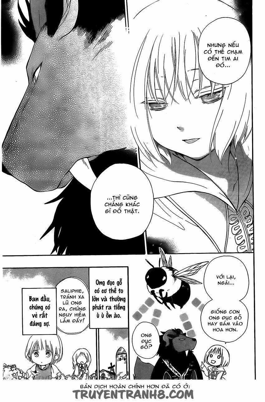 Vua Quái Vật Và Nàng Công Chúa Hiến Tế Chapter 2 trang 13