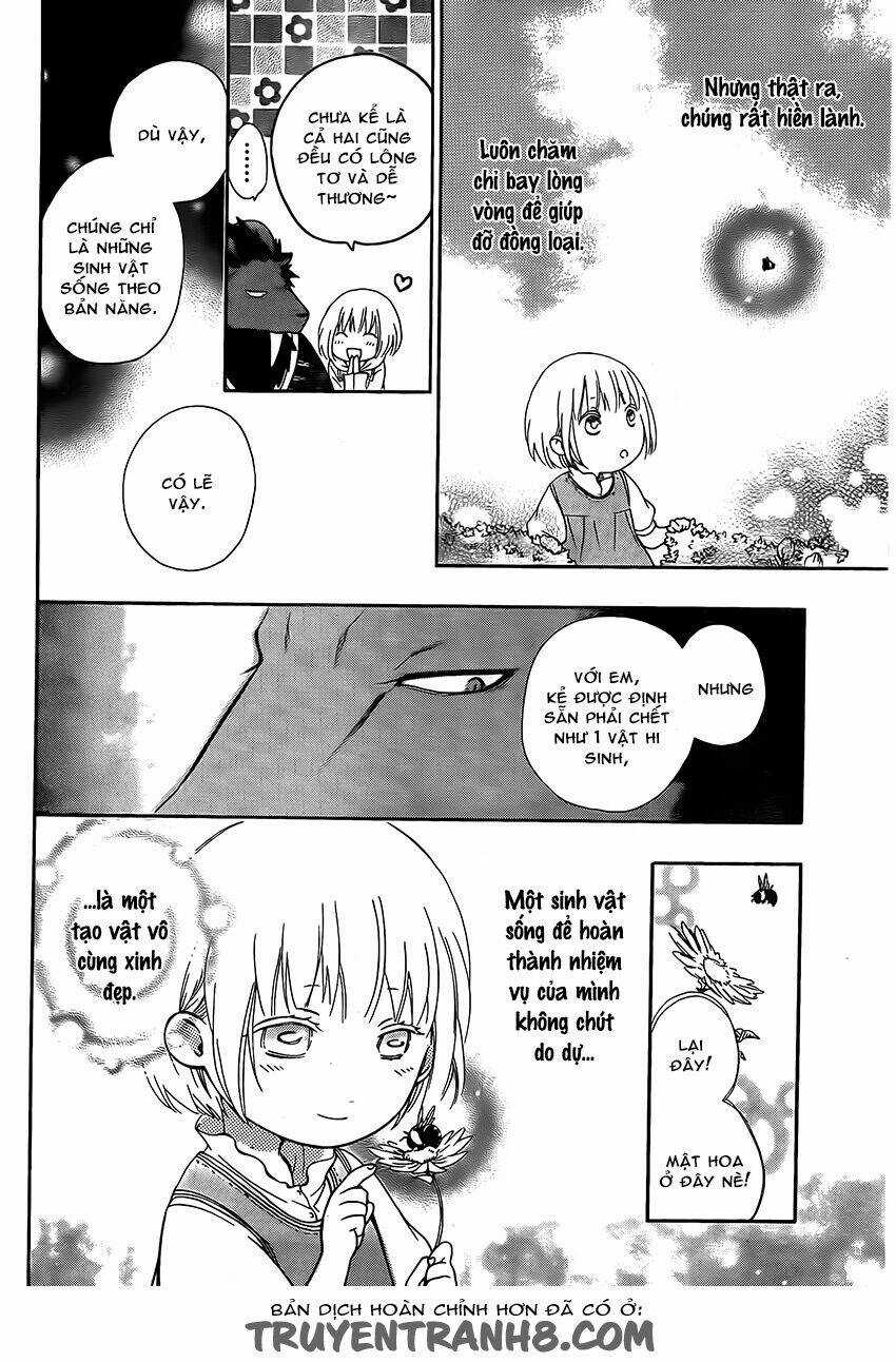 Vua Quái Vật Và Nàng Công Chúa Hiến Tế Chapter 2 trang 14