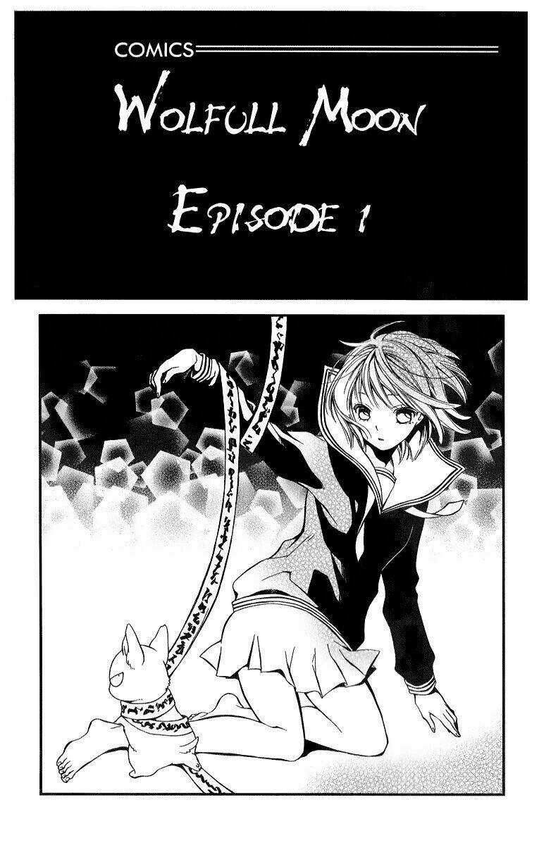 Vua Sói Và Nữ Pháp Sư Chapter 1 trang 2