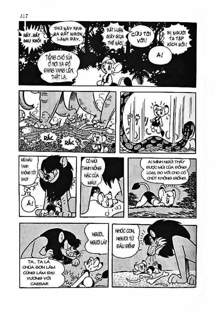 Vua Sư Tử Chapter 5 trang 8