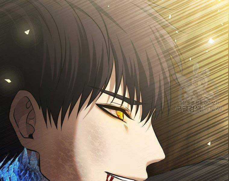 Vua Thăng Cấp Chương 124 trang 191