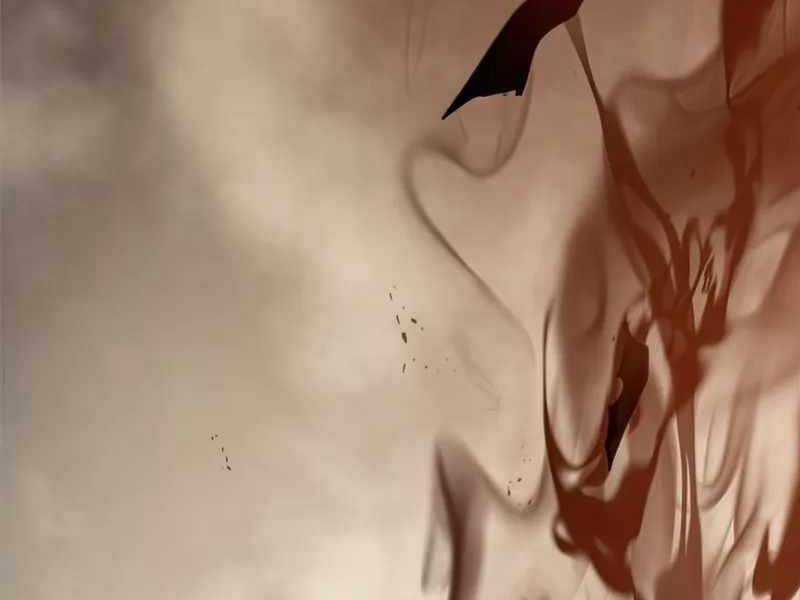 Vua Thăng Cấp Chương 125 trang 205