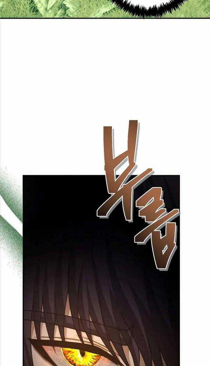 Vua Thăng Cấp Chương 163 trang 91