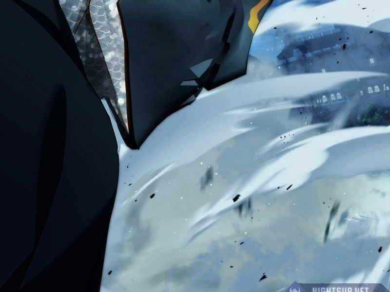 Vua Thăng Cấp Chương 191 trang 175