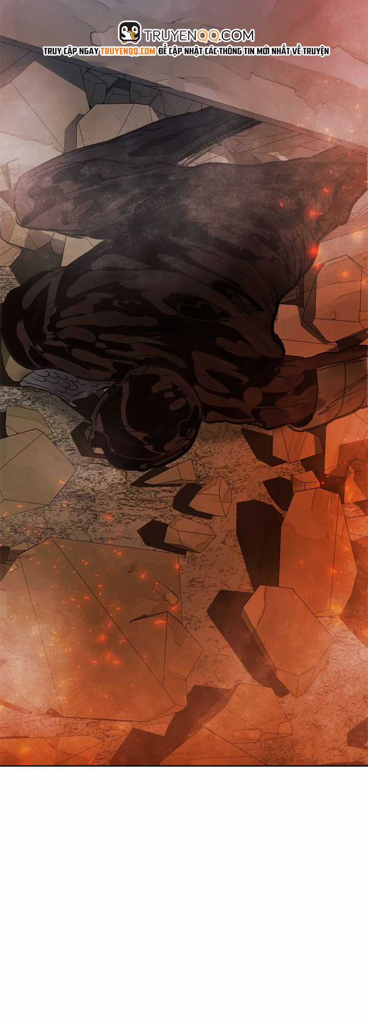 Vua Thăng Cấp Chương 32 trang 29