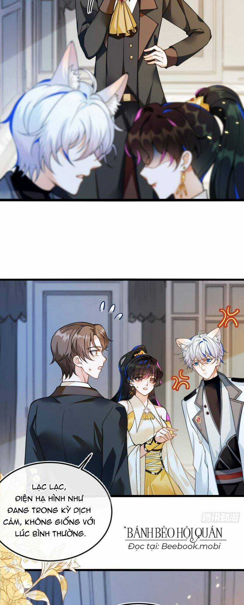 Vừa Từ Hôn Đã Bị Hồ Ly Lừa Vào Cục Dân Chính Chapter 5 trang 14