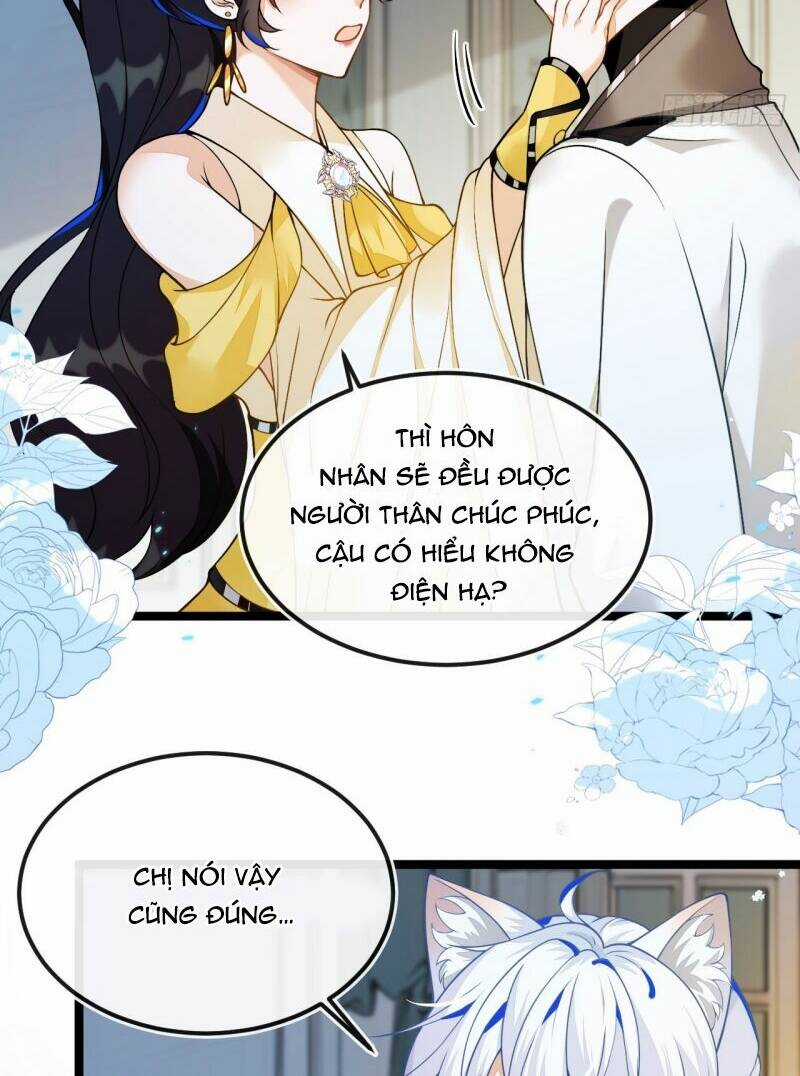 Vừa Từ Hôn Đã Bị Hồ Ly Lừa Vào Cục Dân Chính Chapter 5 trang 23