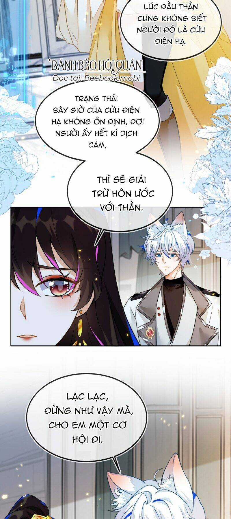 Vừa Từ Hôn Đã Bị Hồ Ly Lừa Vào Cục Dân Chính Chapter 7 trang 5