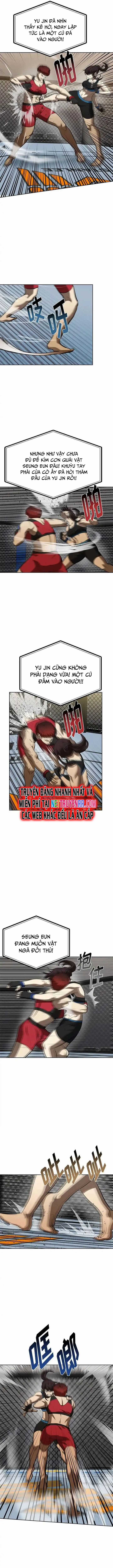 Vua Võ Đài Chương 73 trang 6