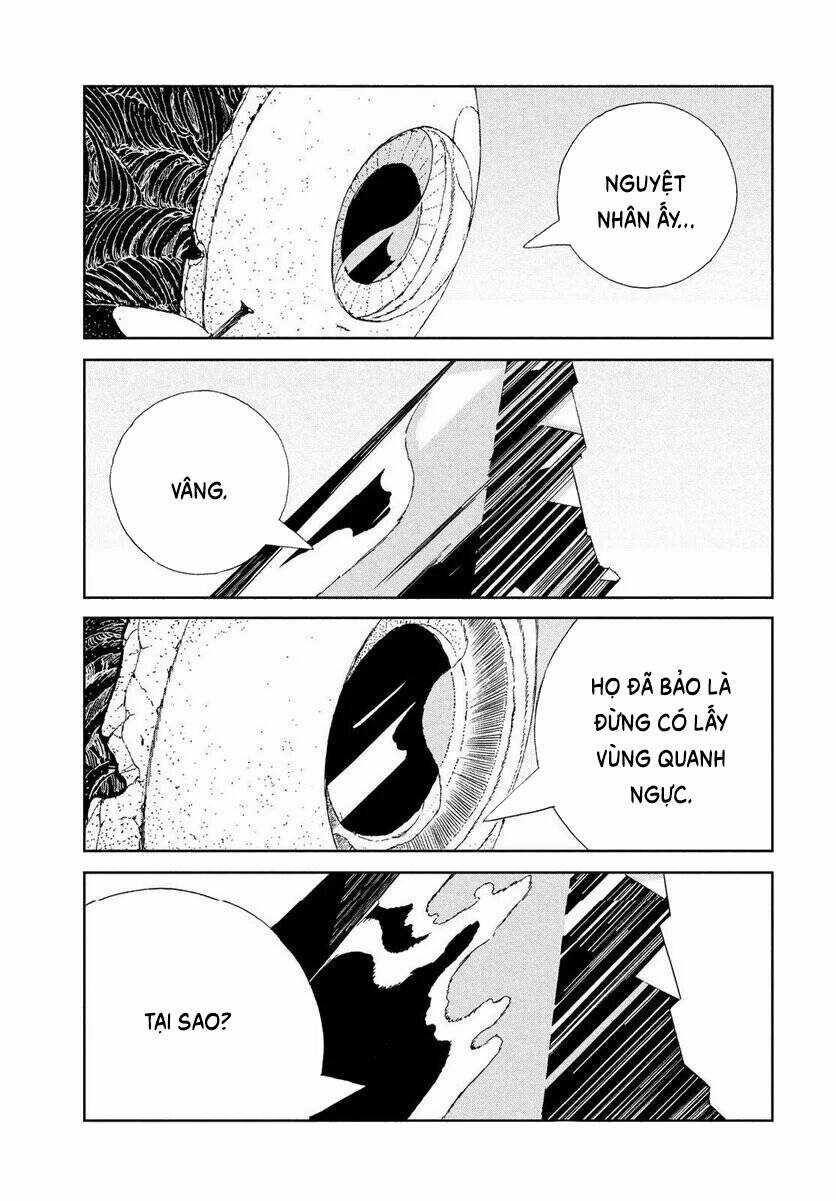 Vùng Đất Của Chiến Binh Bảo Ngọc Chapter 103 trang 7