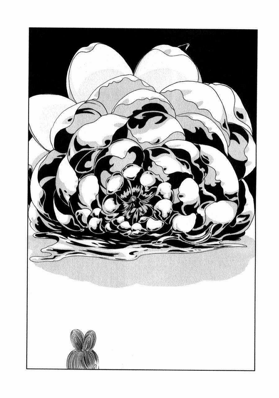 Vùng Đất Của Chiến Binh Bảo Ngọc Chapter 19 trang 16