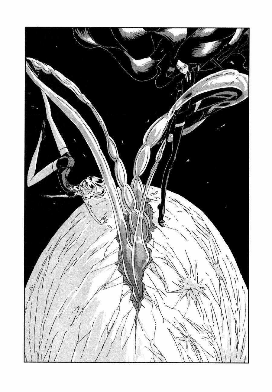 Vùng Đất Của Chiến Binh Bảo Ngọc Chapter 5 trang 5