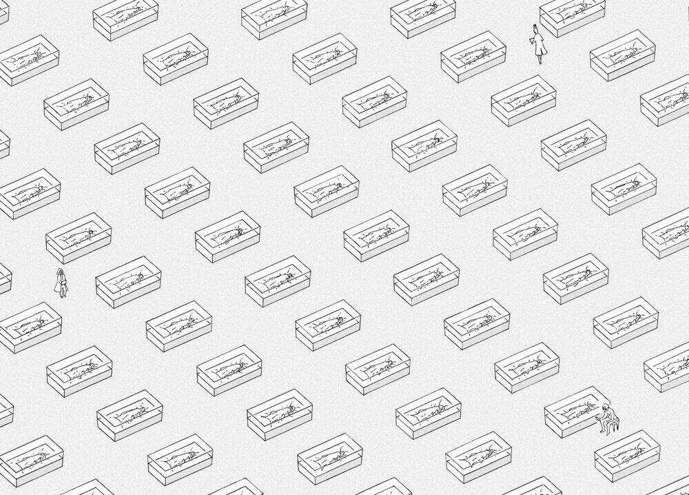 Vùng Đất Của Chiến Binh Bảo Ngọc Chapter 95 trang 14