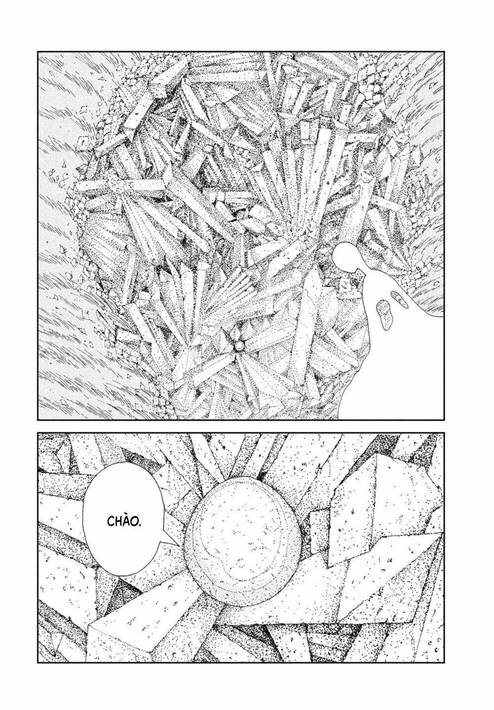 Vùng Đất Của Chiến Binh Bảo Ngọc Chapter 99 trang 12