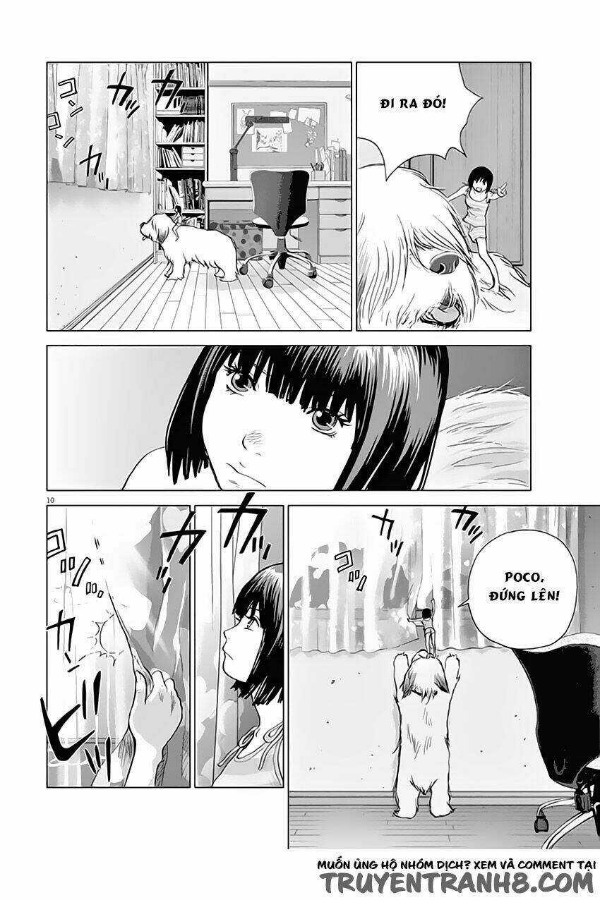 Vùng Đất Kì Diệu Chapter 1 trang 11