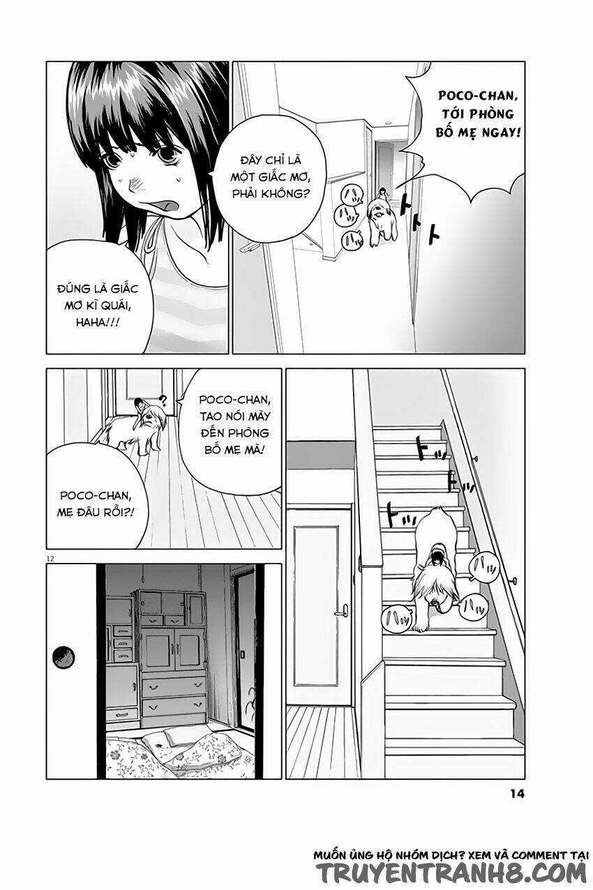 Vùng Đất Kì Diệu Chapter 1 trang 13