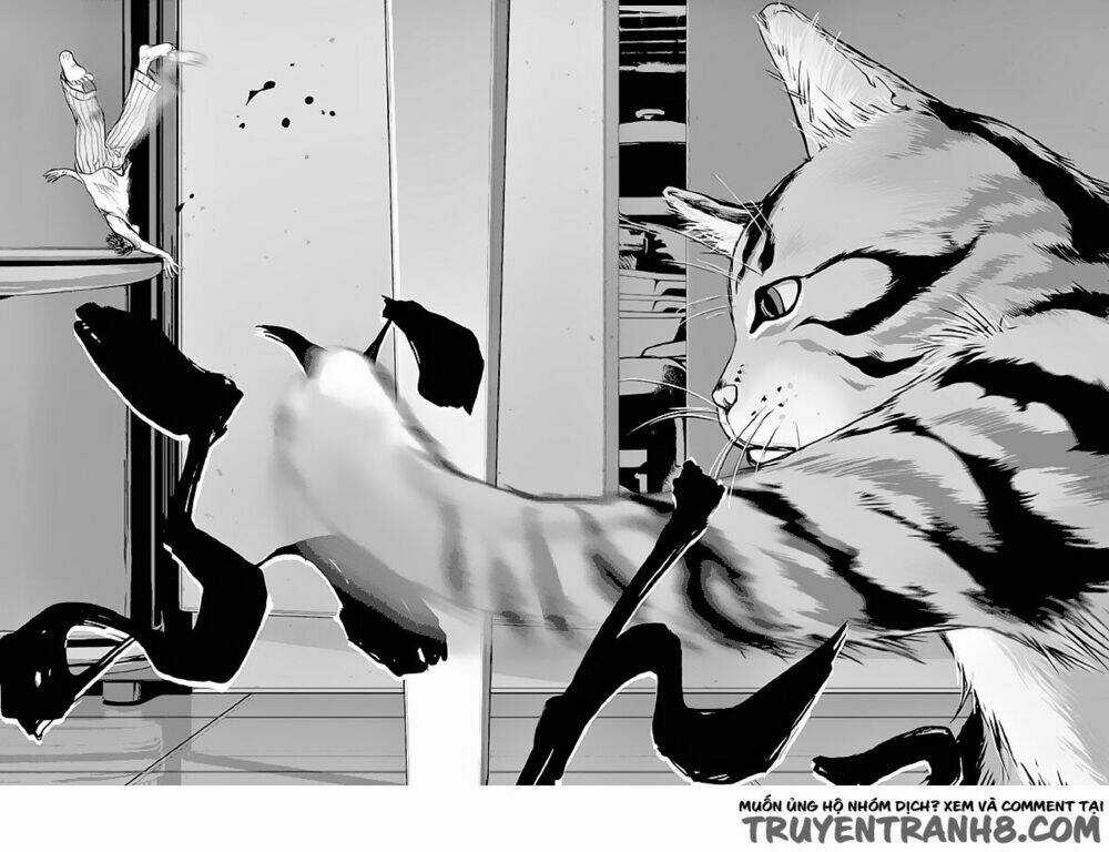 Vùng Đất Kì Diệu Chapter 1 trang 17