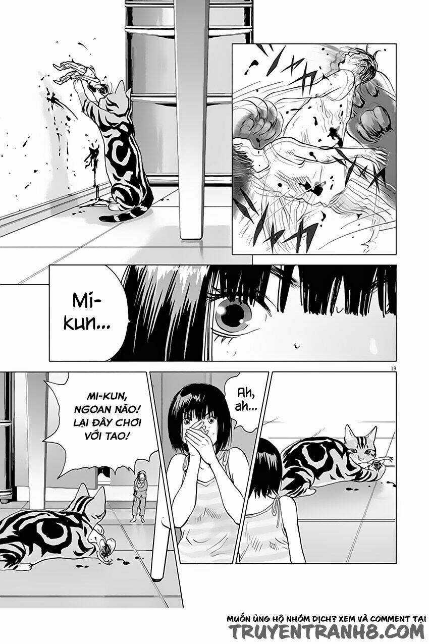 Vùng Đất Kì Diệu Chapter 1 trang 19