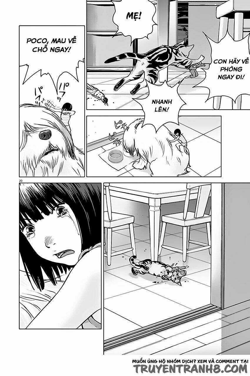 Vùng Đất Kì Diệu Chapter 1 trang 20