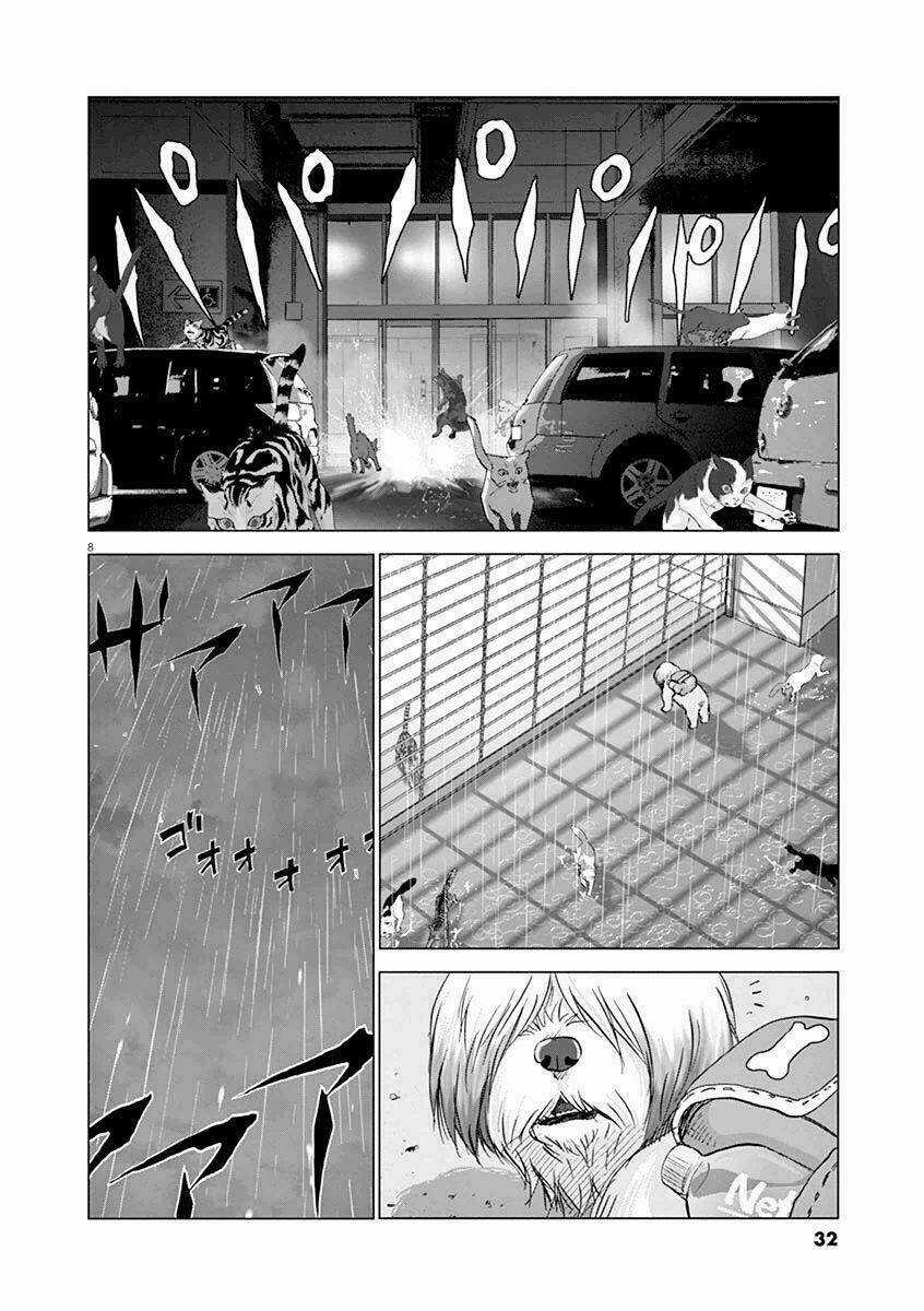 Vùng Đất Kì Diệu Chapter 11 trang 13