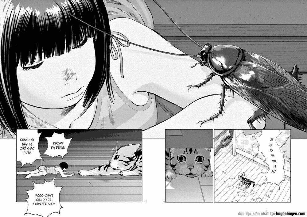 Vùng Đất Kì Diệu Chapter 2 trang 11