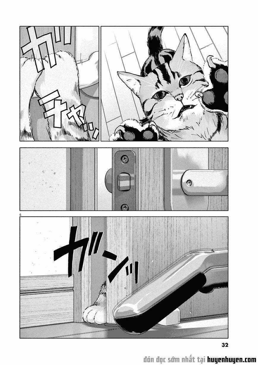 Vùng Đất Kì Diệu Chapter 2 trang 5