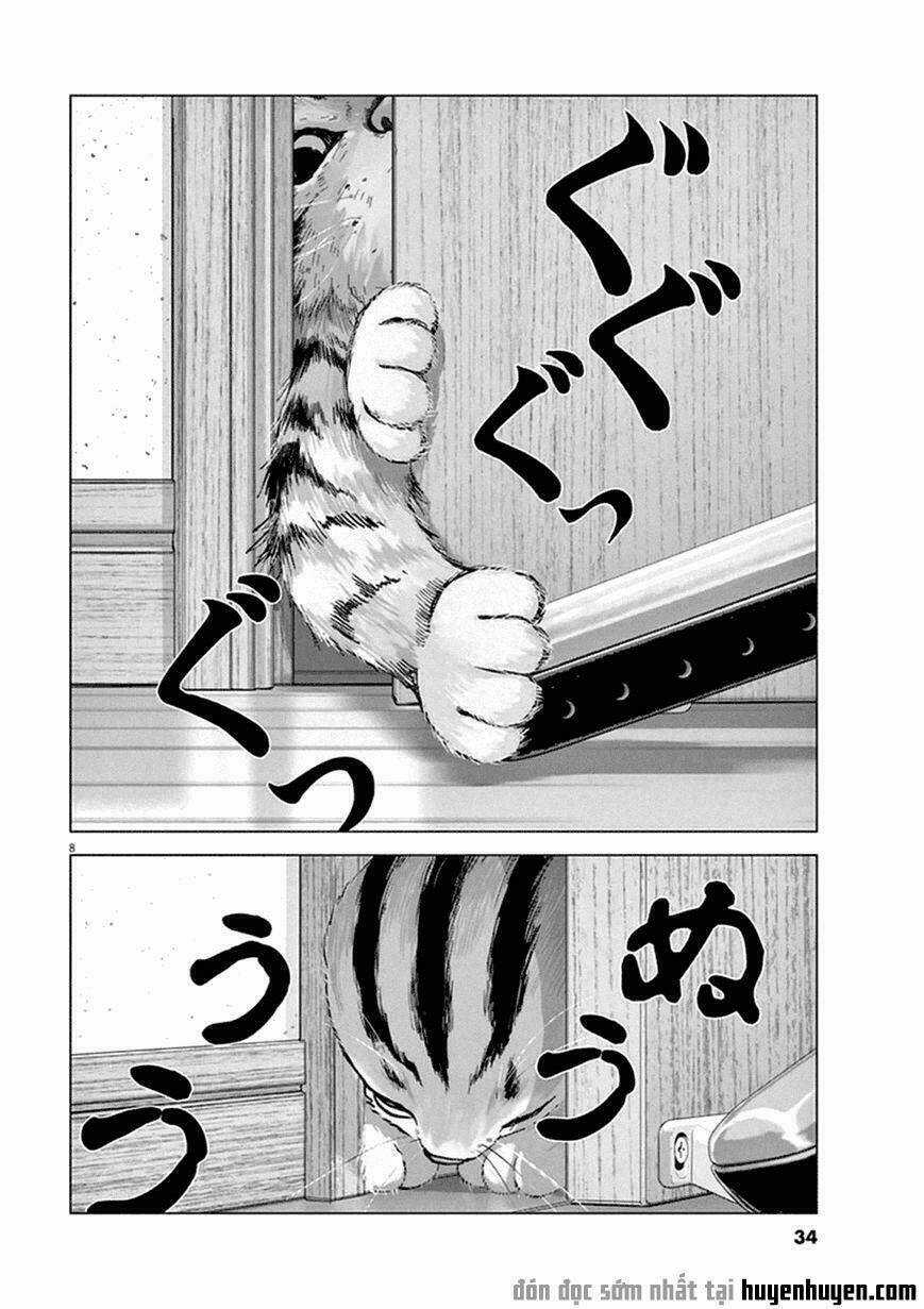 Vùng Đất Kì Diệu Chapter 2 trang 7