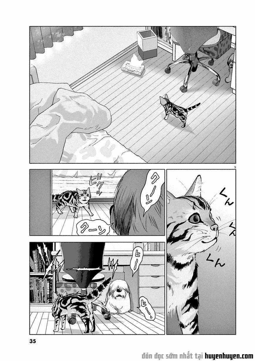 Vùng Đất Kì Diệu Chapter 2 trang 8