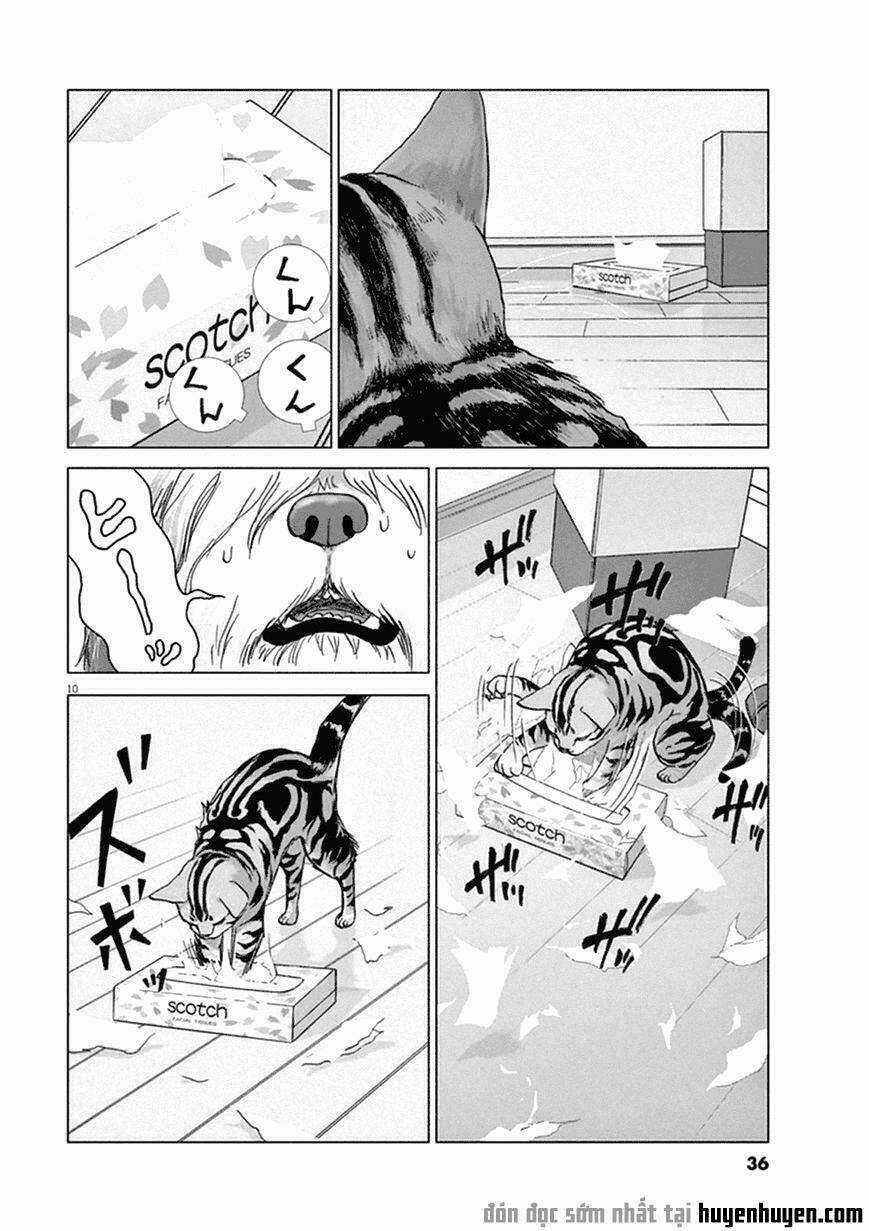 Vùng Đất Kì Diệu Chapter 2 trang 9