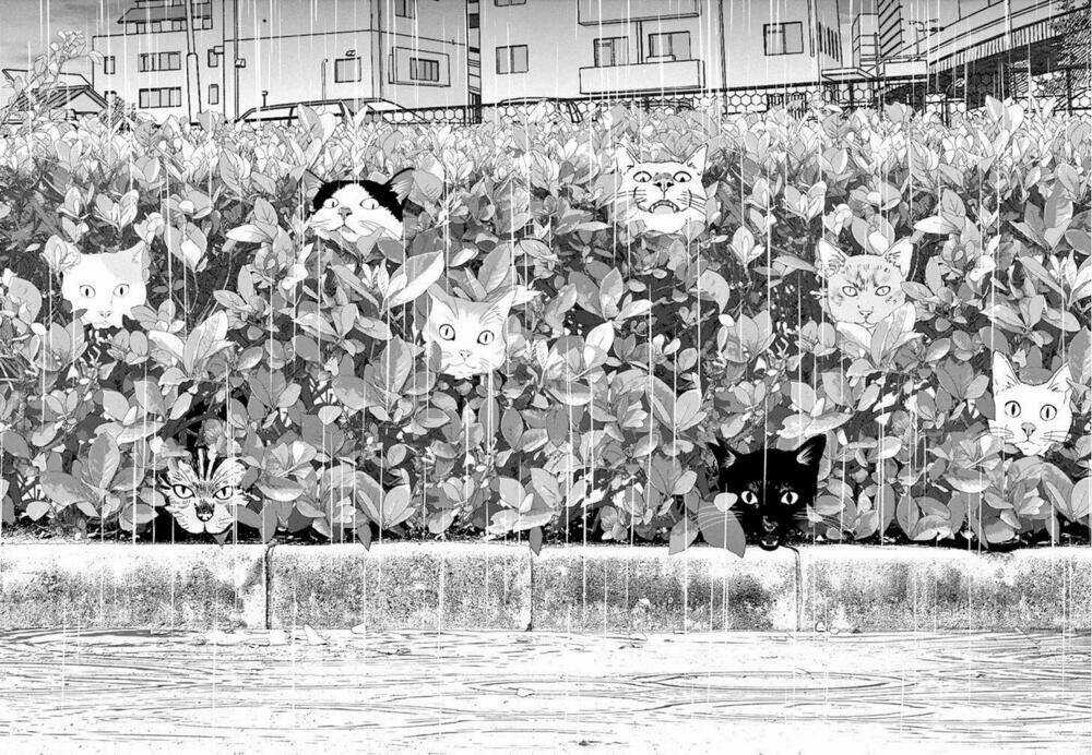 Vùng Đất Kì Diệu Chapter 9 trang 17