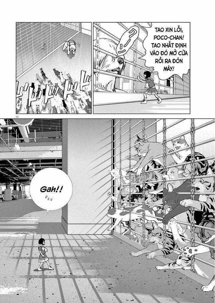 Vùng Đất Kì Diệu Chapter 9 trang 20