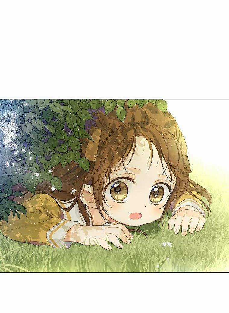 Vùng Đất Rộng Lớn Chapter 1 trang 29