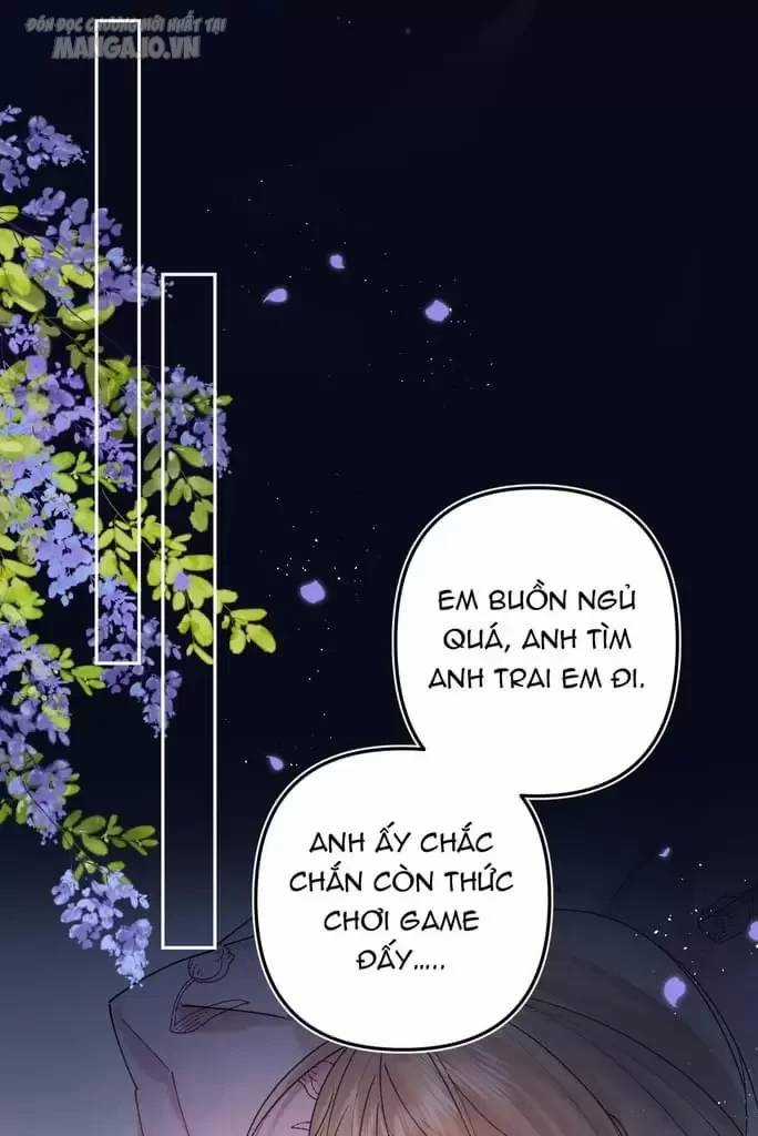 Vụng Trộm Giấu Không Được Chapter 108 trang 43