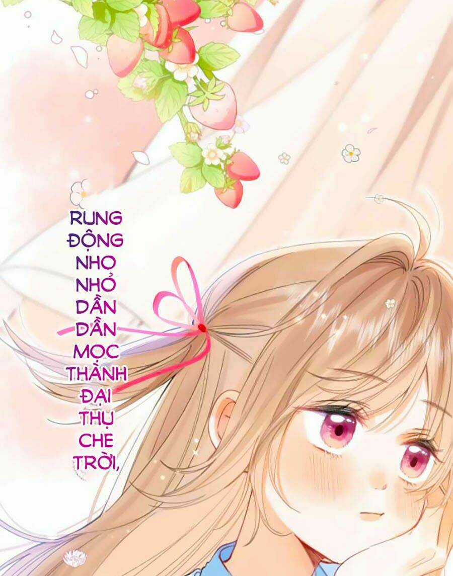 Vụng Trộm Giấu Không Được Chapter 13 trang 16