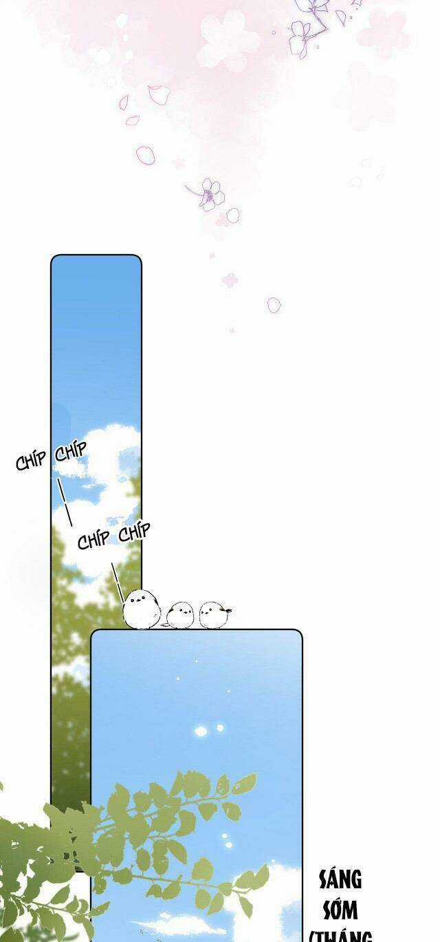 Vụng Trộm Giấu Không Được Chapter 22 trang 20