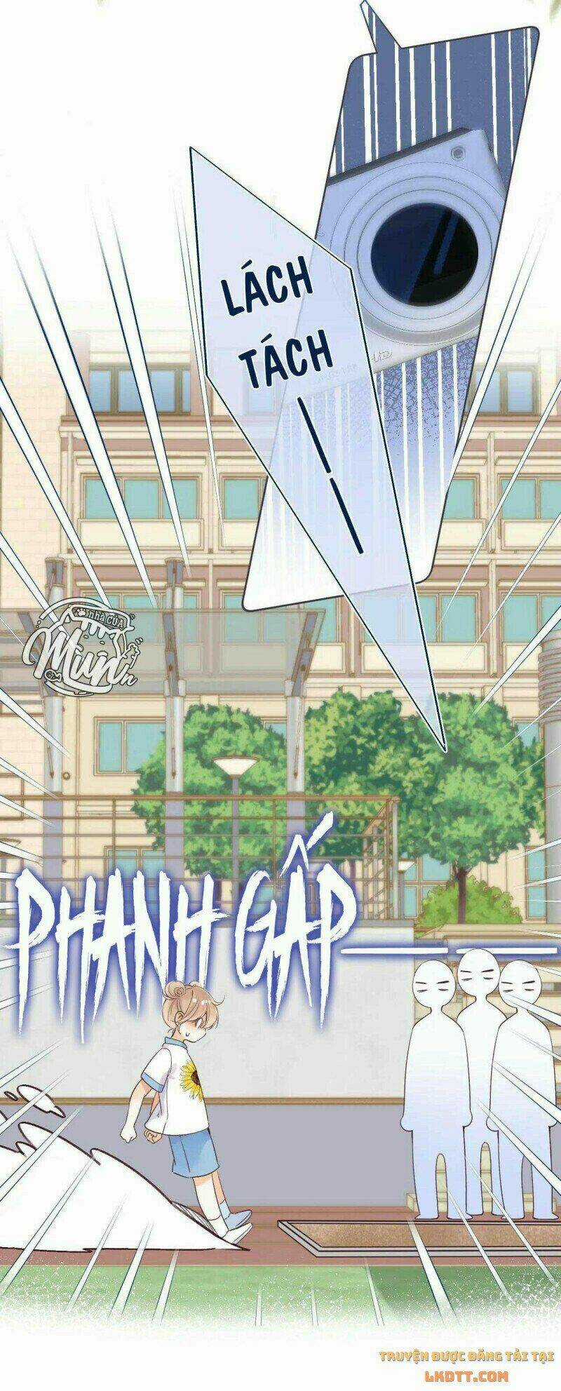 Vụng Trộm Giấu Không Được Chapter 24 trang 16