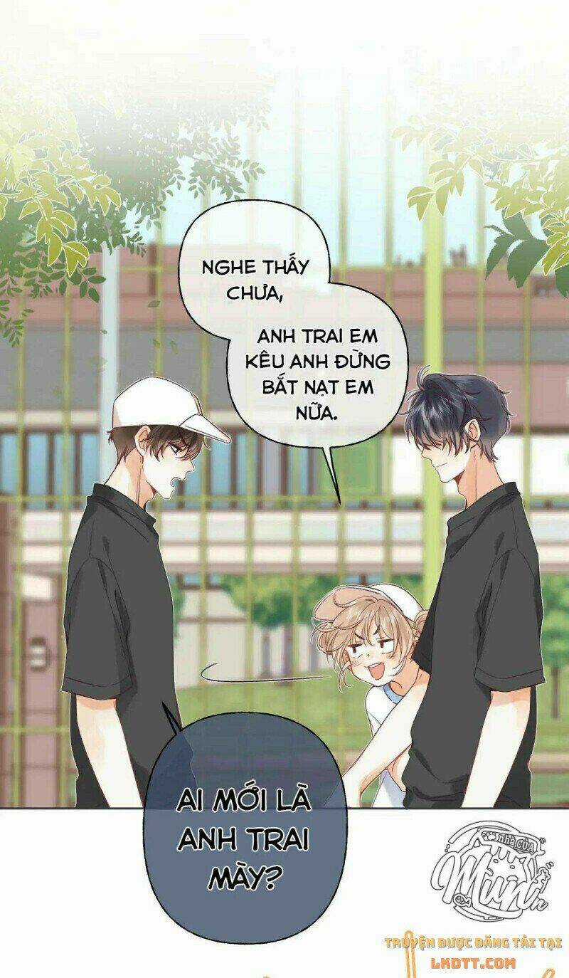 Vụng Trộm Giấu Không Được Chapter 24 trang 3