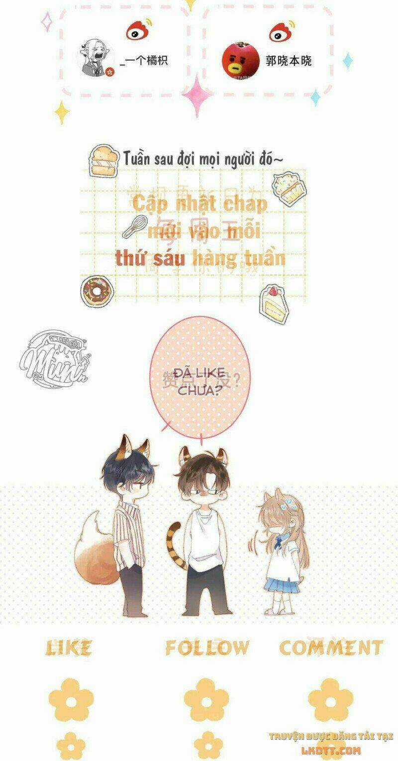 Vụng Trộm Giấu Không Được Chapter 26 trang 47