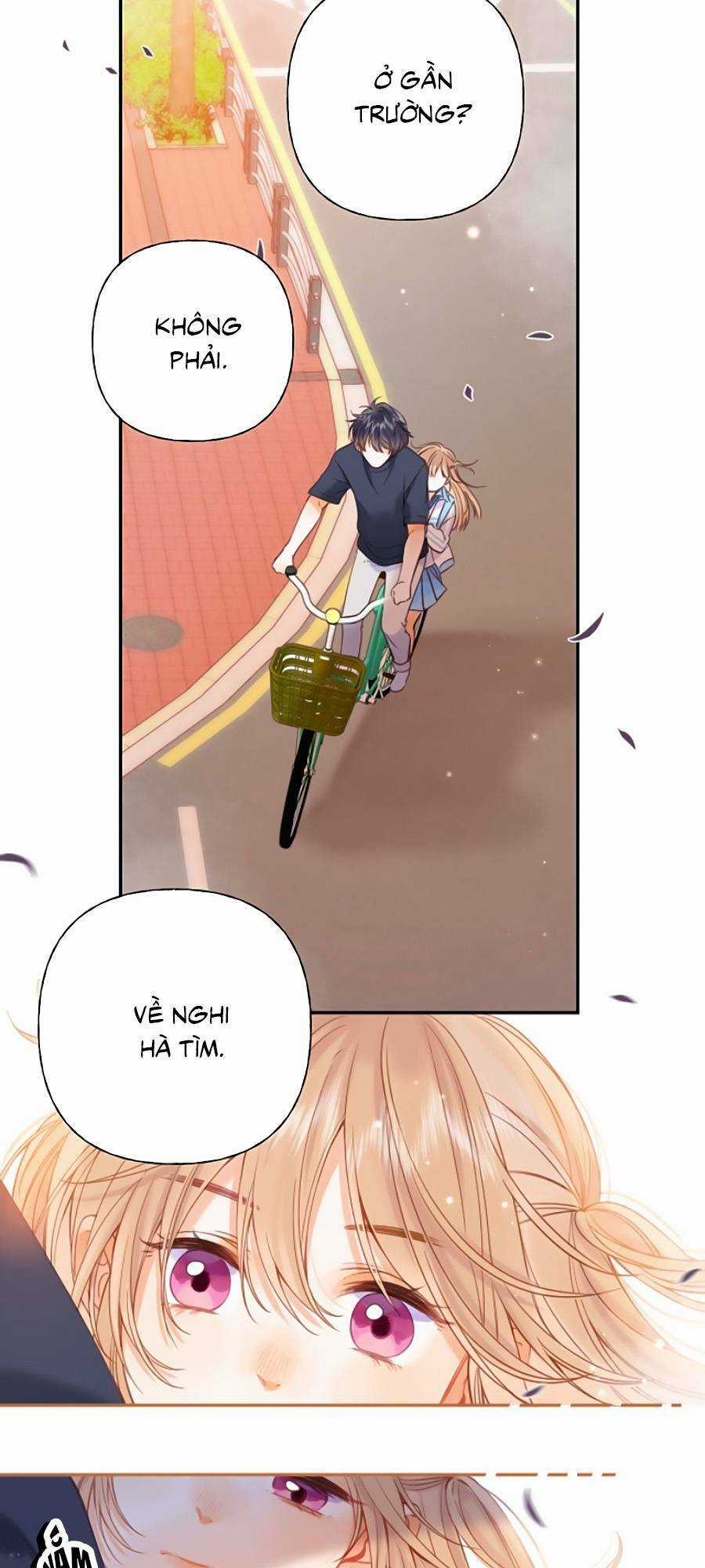 Vụng Trộm Giấu Không Được Chapter 32 trang 3