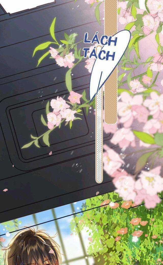 Vụng Trộm Giấu Không Được Chapter 40 trang 25