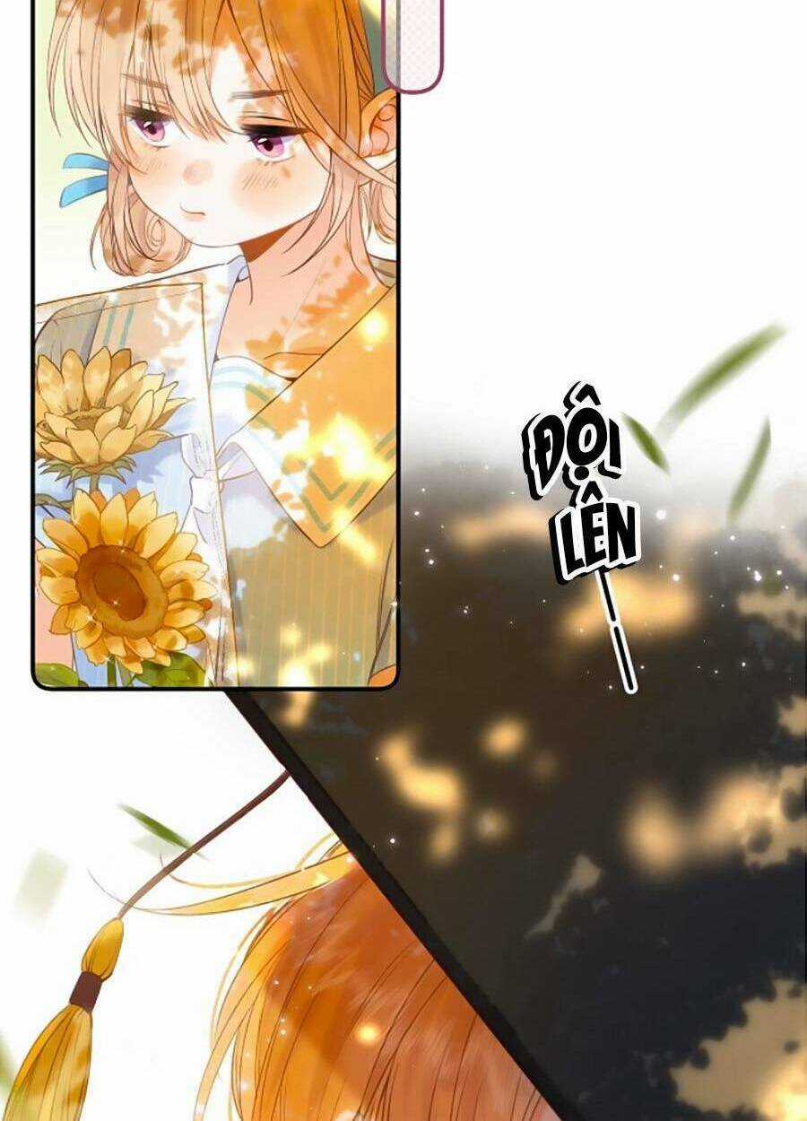 Vụng Trộm Giấu Không Được Chapter 41 trang 10