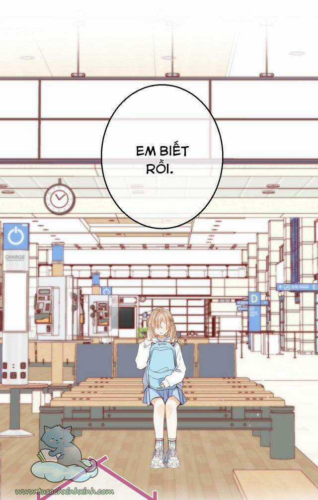 Vụng Trộm Giấu Không Được Chapter 44 trang 12