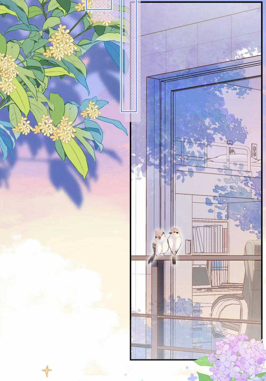 Vụng Trộm Giấu Không Được Chapter 74.1 trang 26