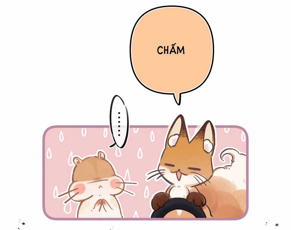 Vụng Trộm Giấu Không Được Chapter 75.1 trang 11