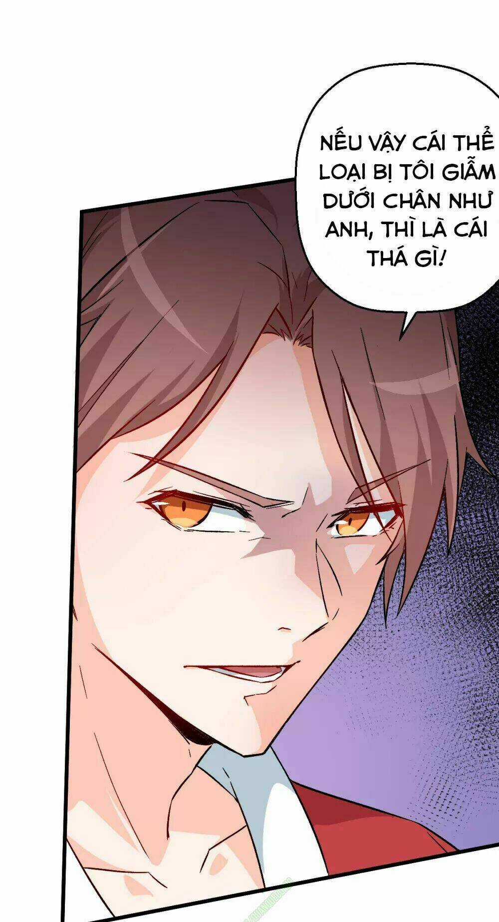 Vườn Trường Cuồng Sư Hệ Thống Chapter 13 trang 11