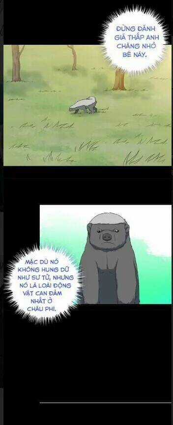 Vương Bài Bảo Tiêu Chapter 4 trang 17