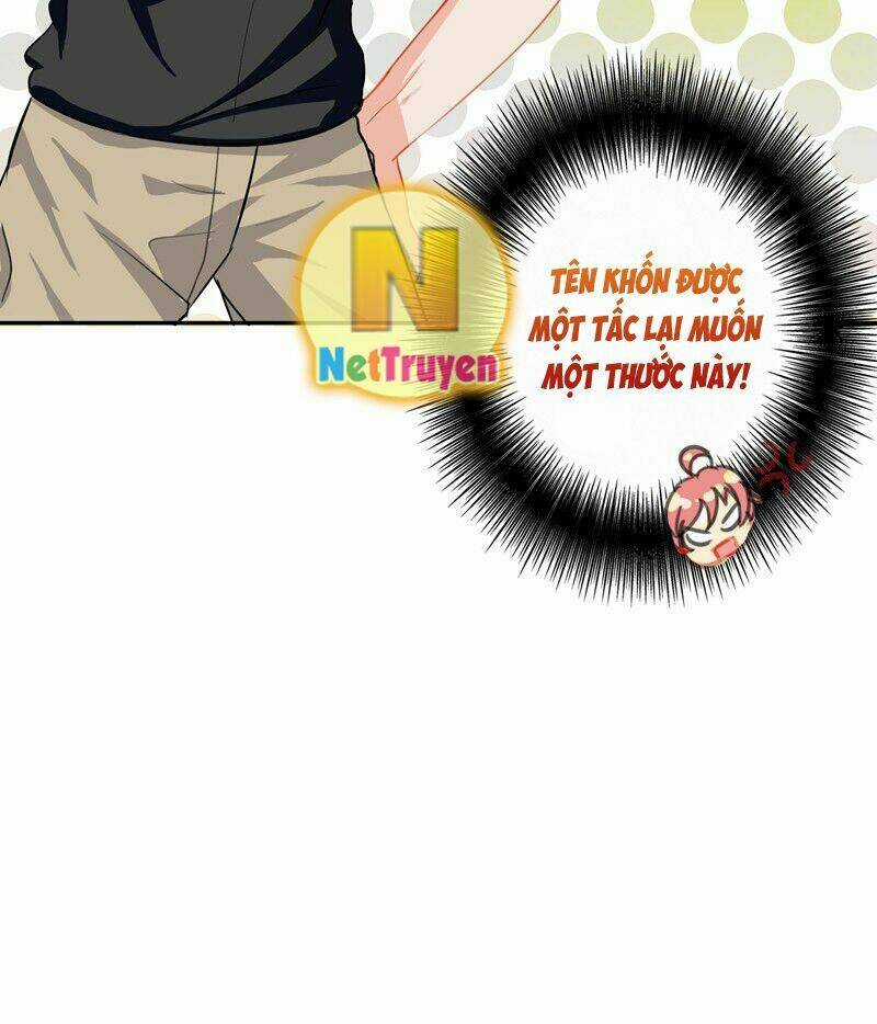 Vương Bài Giáo Thảo Mỹ Nam Đoàn Chapter 17 trang 17