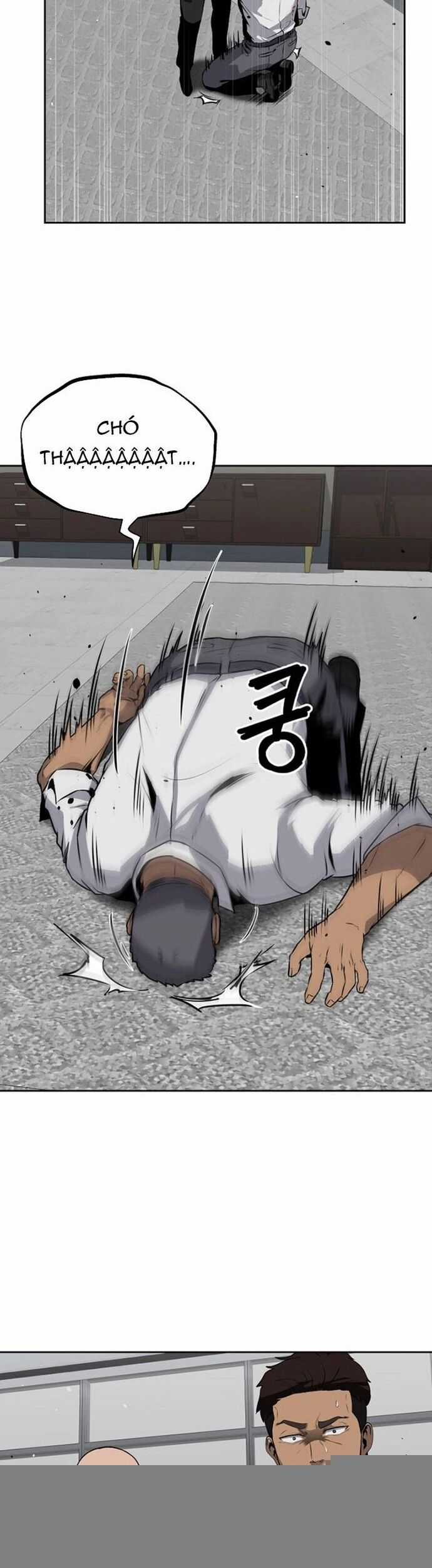 Vương Đạo Chương 13 trang 14