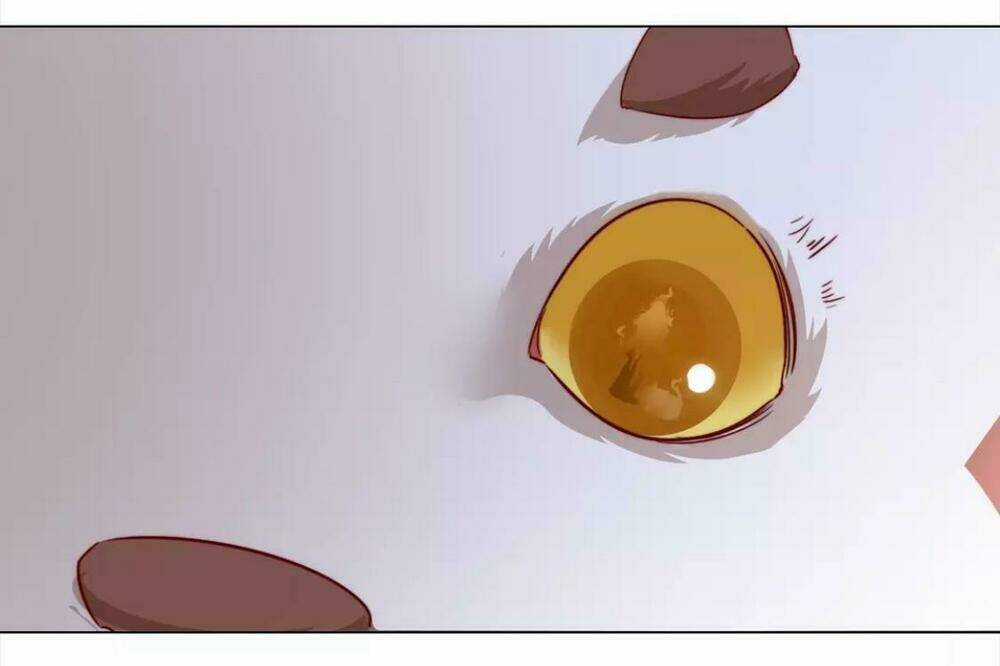 Vương Diệp, Đuôi Của Ngươi Đã Biến Mất Chapter 8 trang 11